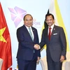 越南领导人致电祝贺文莱达鲁萨兰国国庆35周年