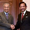 马来西亚与文莱加强双边合作