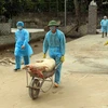 越南成立防控非洲猪瘟国家指导委员会