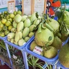 2019年第一季度越南蔬果出口额下降9.3%
