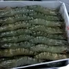 越南首个虾类产品在线交易平台正式亮相