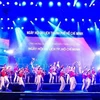 2019年胡志明市旅游节正式开幕