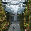 新加坡规模最大的室内花园--星耀樟宜机场投运