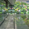 内排国际机场的莲花壁画荣获国际设计奖金牌