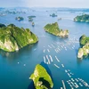 越南广宁省下龙湾跻身世界25大自然奇观行列