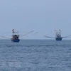  越南驳回中方在东海实施休渔令，侵犯越南主权的单方面行为