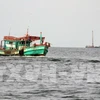 越南成立打击非法、不报告和不管制捕捞(IUU)国家指导委员会 