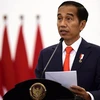 印尼大选：现任总统佐科连任成功