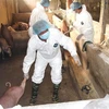 全国各地多措并举全力做好非洲猪瘟防控工作