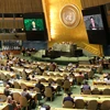 越南与联合国安理会：为世界和平与安全贡献力量