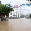 越南部分省市遭暴风雨雷电袭击 导致4人死亡 多人受伤和失踪