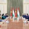 越南国家副主席邓氏玉盛同多国领导举行双边会晤