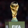 东盟10国将联合申办2034年世界杯