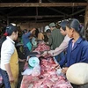 老挝首次发现非洲猪瘟疫情