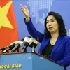 越南外交部发言人：东海上所有活动都需要在尊重各国主权和国际法基础上进行