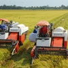 越南颁布决议 鼓励和促进企业对农业进行投资