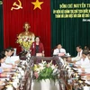 越南国会主席阮氏金银与永隆省骨干干部举行工作座谈会