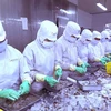 芹苴市与日本企业将虾壳加工成为食品工业原料
