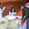 年初至今越南狂犬病死亡病例46例