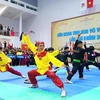 多国武术选手参加第二届“国际越南武术精髓”联欢节