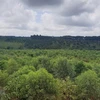 大力加强西原地区护林队伍建设 提升森林保护质量
