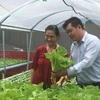 胡志明市走向对外出口农作物种子种苗的目标 