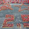 世界多国领导就越南国庆74周年继续发来贺电