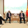 王廷惠副总理：进一步加强越南与南非和尼日利亚之间的关系