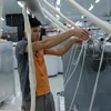 大叻羊毛纱线纺纱厂首次向日本出口天然羊毛纤维