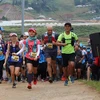 2019年越南山地马拉松比赛吸引国内外4000多名选手参加