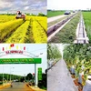 越南即将召开国家新农村建设目标计划实施10周年总结会议
