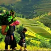 越南北部七个最佳秋季旅行目的地