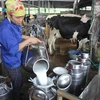 本月内越南首次向中国出口牛奶