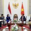 越南国家副主席邓氏玉盛会见印尼总统佐科·维多多