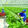广义省批准43个农业投资项目