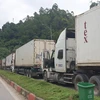 延长货物通关时间 致力解决谅山省新青口岸货物拥堵现象