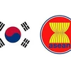 东盟与韩国加强合作 致力于和平与发展