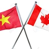 加拿大学者对越南与加拿大合作前景充满信心