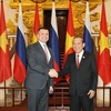  越俄两国政府副总理举行会晤