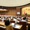 越南第十四届国会第八次会议继续讨论经济社会和国家财政预算问题