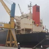 海运在越南海洋经济发展战略起着重要作用 
