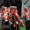 越南各民族文化精髓推介活动将在本月内举行