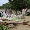 越南政府总理就第六号台风防御工作作出指示