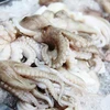 越南墨鱼与章鱼深受美国市场的青睐