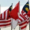马来西亚和印度尼西亚同意使用无人机巡逻边境