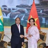 越南政府总理阮春福与缅甸国务资政昂山素季举行会谈