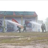 越南-柬埔寨陆地边界地区搜救演习成功举行