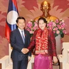 越南国会主席阮氏金银会见老挝外交部长沙伦赛·贡玛西