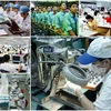 2020年胡志明市预计有32.3万个工作岗位的需求