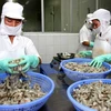 虾类——越南农业的主要出口产品 